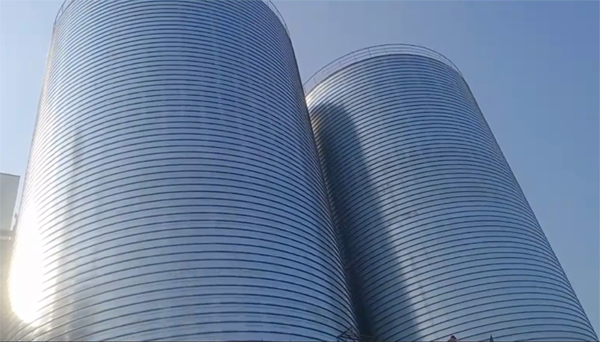 格尔木2座混凝土高架卷板仓